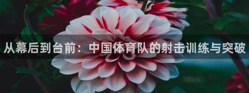 球迷体育UFC：从幕后到台前：中国体育队的射击训练与突破
