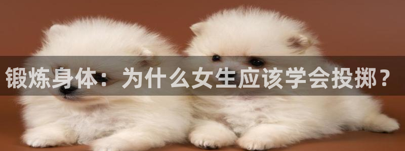 球迷体育手app