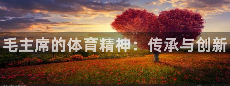 球迷体育直播在线观看