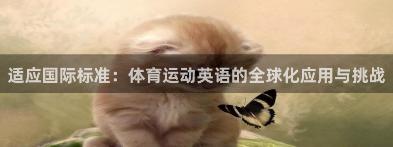 球迷体育app