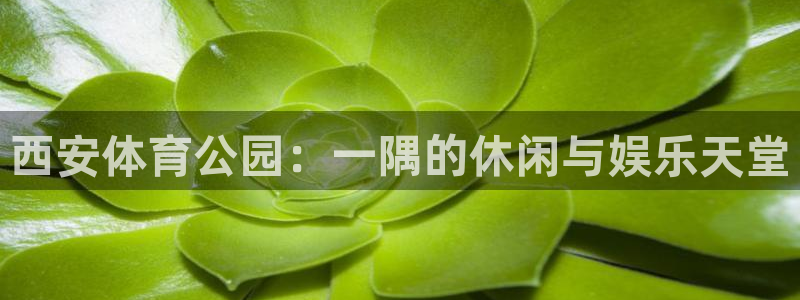 球迷体育官方正版下载