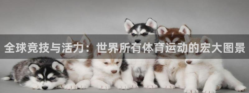 球迷体育是正规平台吗：全球竞技与活力：世界所有体育运动的宏大图景