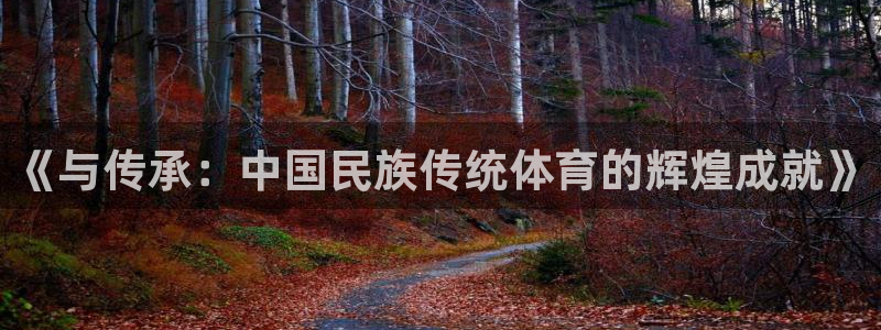 球迷体育怎么看回放