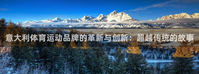 球迷体育app下载安卓：意大利体育运动品牌的革新与创新：超越传统的故事