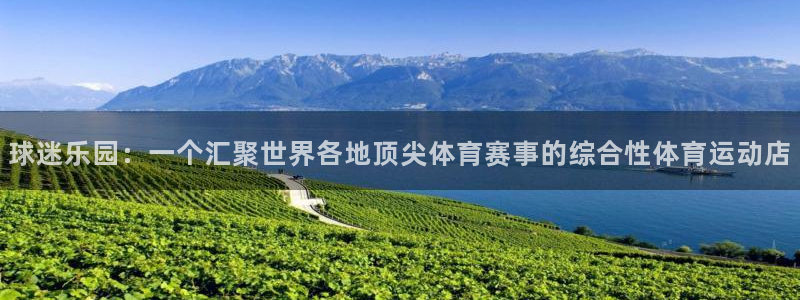 球迷体育怎么看回放