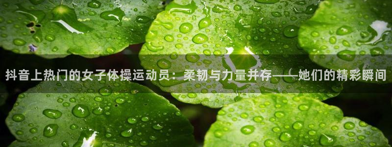 球迷体育网站地址