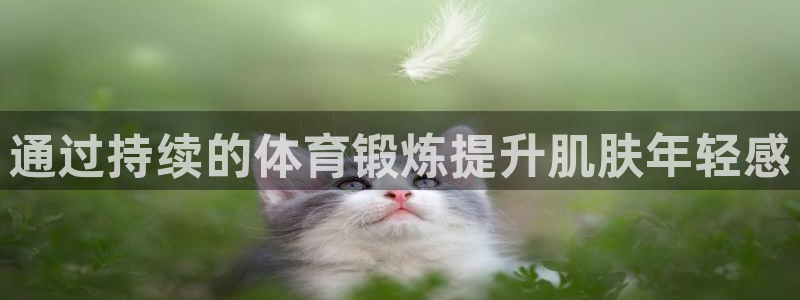 球迷体育官网